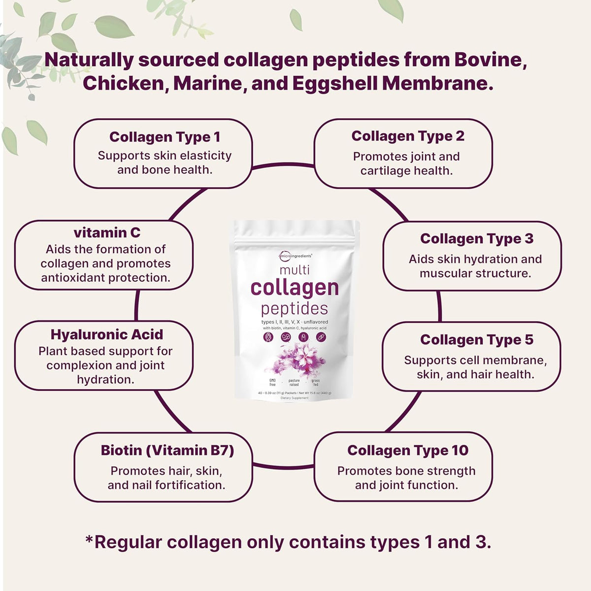 Multi Collagen Peptides Powder, 40 Stick Packs | Type I, II, III, V, X + Biotin, Vitamin C & Hyaluronic Acid | Supports Hair, Skin & Joint Health